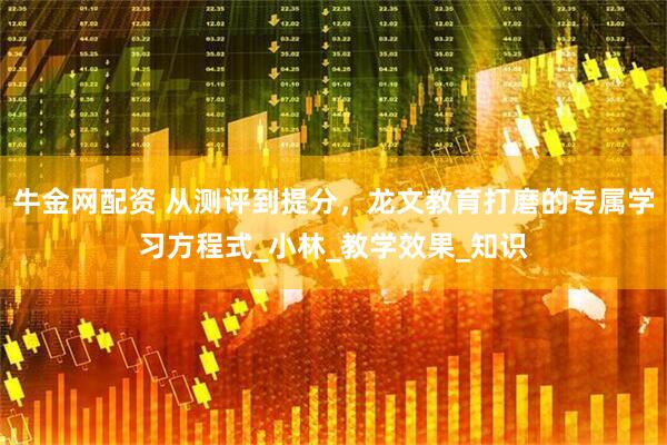 牛金网配资 从测评到提分，龙文教育打磨的专属学习方程式_小林_教学效果_知识