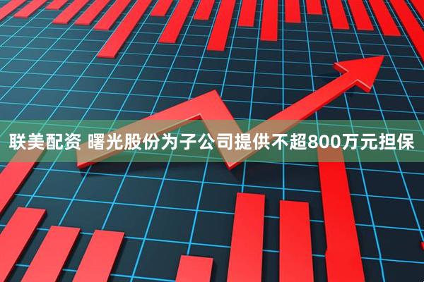 联美配资 曙光股份为子公司提供不超800万元担保