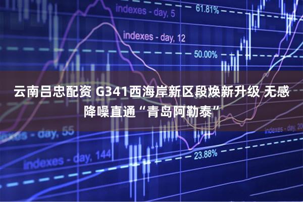 云南吕忠配资 G341西海岸新区段焕新升级 无感降噪直通“青岛阿勒泰”