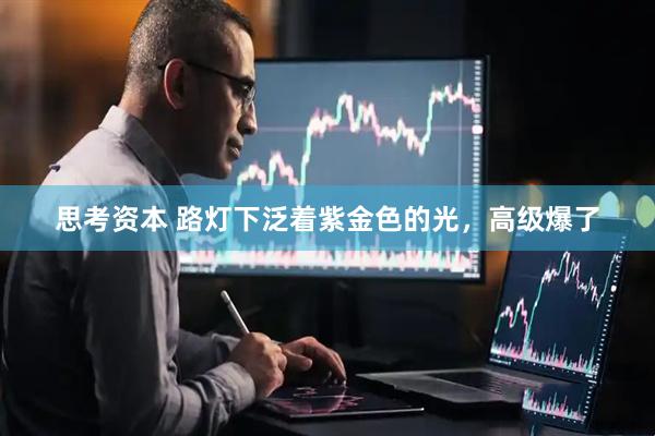 思考资本 路灯下泛着紫金色的光，高级爆了